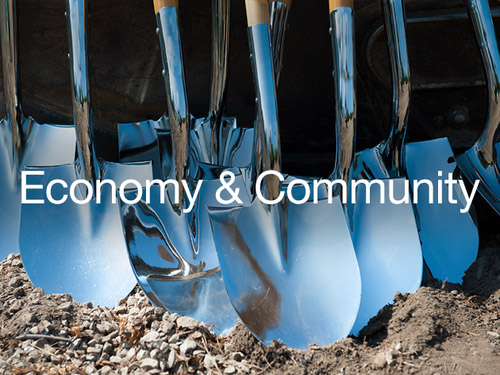 graphic for Sector of Economy and Community