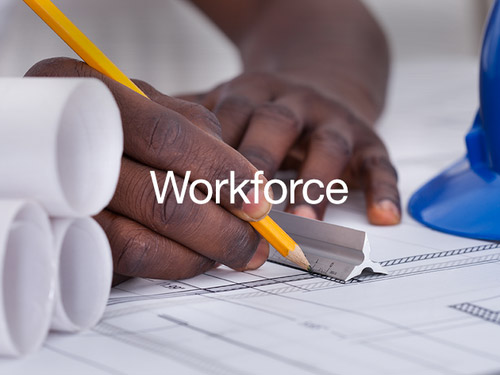 graphic for Sector of Workforce
